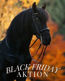 Gutschein - Aktion 📷  Schon das dritte Jahr in Folge biete ich auch 2025 die Gelegenheit, besondere Freude zu verschenken und dabei sogar ein wenig Geld zu sparen.
Wenn du ab heute bis Ende des Monats einen Gutschein für ein Fotoshooting bei mir bestellst, gebe ich dir 10% extra auf den Betrag oben drauf. Der Wert ist dabei ab 50€ frei wählbar, sodass wir es ganz an dein Budget anpassen können.
Gutscheine gibt's digital ohne Aufpreis oder gedruckt für 5€ inkl Versand ☺️  Bei Interesse schreib mir gerne. Die Aktion gilt bis 30.11. ✨ Gutscheine können entspannt bis Ende 2027 eingelöst werden. Wer soll dir zum nächsten Anlass einen Gutschein schenken? 😋  Denn besondere Tiere verdienen besondere Erinnerungen ❤️
~ Sara Landvogt Fotografie 📷
👉 Weitere Infos: Link in Bio  #pferdefotografie #blackfriday #friesian #equinephotography #geschenkinspo
#horsegirl