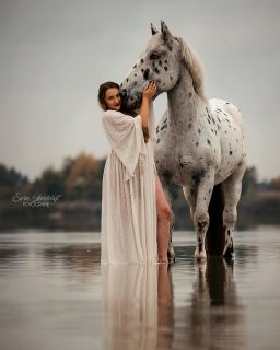 Dreamteam ❤️  Wenn mich jemand fragt, was ein Pferdefotoshooting besonders macht: die Beziehung zwischen Pferd & Mensch sichtbar machen. Das gegenseitige Vertrauen festhalten. Das sind mir die allerliebsten Momente ✨🫶  Ich freue mich drauf, vielleicht auch euch kennenzulernen und eure Erinnerungen für die Ewigkeit festzuhalten 🥰  Denn besondere Tiere verdienen besondere Erinnerungen ❤️
~ Sara Landvogt Fotografie 📷
👉 Weitere Infos: Link in Bio  #pferdefotografie #pferdemädchen #horsegirl #noriker #kaltblut #herzenspferd #seelenpferd