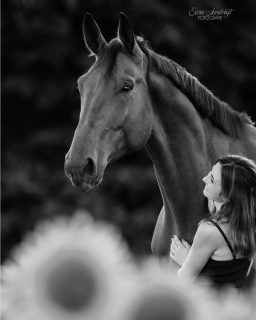 Nie vergessen 🖤  Regenbogenshootings sind gleichzeitig wunderschön und tieftraurig. Voller Gefühl, und dadurch auch eine Herausforderung. Sich dem Thema bewusst zu stellen, braucht Kraft. Doch nicht immer ist es absehbar, dass unsere Tiere bald ihren letzten Weg gehen müssen.
Krankheit kommt häufig unerwartet, und dann werden Erinnerungen unbezahlbar.
Die Bilder im obigen Karussell sind alle aus diesem Jahr. Nur bei drei war das Abschiedsshooting als solches gedacht 💔  Bitte, bitte, bitte, und das sage ich als Tierbesitzerin: wenn ihr gerne mal professionelle, schöne Fotos mit eurem Liebling hättet, schiebt es nicht auf. Man weiß nie, wie das Leben so spielt. Ihr müsst nichts können, es braucht keine tolle Location oder Outfit. Es gibt keinen falschen Zeitpunkt für Erinnerungen. Nur ein "zu spät".  Denn besondere Tiere verdienen besondere Erinnerungen ❤️
~ Sara Landvogt Fotografie 📷
👉 Weitere Infos: Link in Bio  #pferdefotografie #pferdemädchen #regenbogenbrücke #abschied