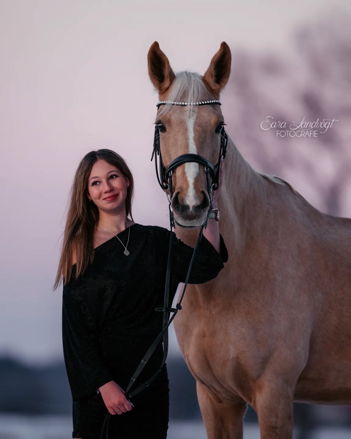 Was macht einen guten Fotografen aus? 🤔  Wenn man sich hier so umschaut, könnte man meinen, es gibt eine klare Richtlinie, was forografierwürdig ist: Schöne Pferde in Sonderfarben, mit langer Mähne, die Zirkuslektionen in atemberaubender Landschaft ausführen. Dazu eine hübsche junge (schlanke) Frau im romantischen Kleid und der Instapost ist perfekt.  Für mich ganz persönlich ist das natürlich schön anzuschauen und auch zu fotografieren...doch viel interessanter finde ich, wie man "Normalos" mit ihren ganz normalen Pferden in der Stallumgebung in Szene setzt. 
Wie man auch ohne Klimbim ein bisschen Magie ins Bild zaubert und die Menschen dazu bringt, sich und ihr Pferd mal aus einem anderen Blickwinkel zu sehen. Die Schönheit im Alltag hervorzuheben und auch mal mit schwierigen Situationen umzugehen.  Hier trennt sich für mich die Spreu vom Weizen.
Reale, uninszenierte Situationen mit dem gewissen Extra für die Ewigkeit festhalten.
Daher hier auch einen Post im Einzelbild, kein Karussell oder Reel "für den Algorithmus" 💔  Wie denkst du darüber? Hau gerne deine Meinung raus, bin gespannt!  Denn besondere Tiere verdienen besondere Erinnerungen ❤️
~ Sara Landvogt Fotografie 📷
👉 Weitere Infos: Link in Bio  #pferdefotografie #pferdemädchen #equinephotography #photoart #horsegirl