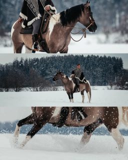 Schnee - Cowgirl 🤠❄️  Ich weiß, ich weiß, ich hab mich hier erst kürzlich von Schnee und Winter verabschiedet. Als das Winter-Wonderland gestern aber nochmal kurz Einkehr gehalten hat und meine liebe @daily_dose_of_django gefragt hat, ob ich Zeit habe, hat KONNTE ich einfach nicht nein sagen.
Und ich hatte auch sofort eine passende Idee im Kopf. Wie wäre es mit Western Romantik im Schnee? Dafür habe ich auch gerne meinen in den USA gekauften Poncho ausgeliehen, passt er nicht perfekt dazu?  Denn besondere Tiere verdienen besondere Erinnerungen ❤️
~ Sara Landvogt Fotografie 📷
👉 Weitere Infos: Link in Bio  #pferdefotografie #pferdemädchen #cowgirl #snowphotoshoot #equestrianstyle