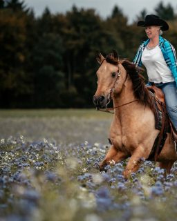 Lush life... 11 Jahre später 🌸  Ein Shooting, das mich letztes Jahr besonders emotional gemacht hat, war das mit Vanessa und ihrem Diamond Sunshine.
Ich habe die beiden kennengelernt, als sie relativ frisch ein Team waren, am Stall meiner ersten Reitbeteiligung. Sunny war gerade mal sechs Jahre alt. Ein paar Jahre später hat Vanessa mein erstes Sammelshooting jemals organisiert. Das war 2011 (!).
Ganze 14 Jahre später habe ich die beiden wiedergesehen, Sunny mittlerweile schon deutlich über 20 und die zwei ein Herz und eine Seele, die sich in und auswendig kennen 💙  Was für eine wundervolle Möglichkeit, die beiden wiederzusehen.
Wer ganz rüber swiped, findet ein Bild aus 2011 🥰  Denn besondere Tiere verdienen besondere Erinnerungen ❤️
~ Sara Landvogt Fotografie 📷
👉 Weitere Infos: Link in Bio  #pferdefotografie #pferdemädchen #cowgirl #quarterhorse #throwback
