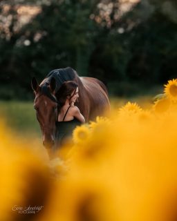 a trip down memory lane 🖤  Fotos frieren einen Moment ein. Eine Erinnerung und Emotionen. Früher hat man durch Fotoalben geblättert oder für Freunde und Verwandte eine Diashow mit Urlaubsfotos gemacht.
Und heute? Da liegen die Erinnerungen auf den digitalen Speichern. Vielleicht zeigt dir dein Smartphone ab und zu Erinnerungen an "Heute vor 3 Jahren". Wie oft bringt dich so eine Erinnerung dazu, gedanklich in die Vergangenheit abzuschweifen? Fühlst die Sonne vom letzten Strandurlaub auf der Haut, hörst die Musik, die im Restaurant lief, in dem du dein Essen fotografiert hast?  Genau dafür sind Fotos da. Ich blicke sehr gerne zurück und wenn ich einmal in alten Fotos grabe, bin ich mitunter stundenlang beschäftigt. Weil ich so viele Fotos habe. Leider gar nicht mal so sehr von eigenen Geschichten, aber von Momenten, die ich mit lieben Tierbesitzern wie dir geteilt habe. Ich liebe es, in diesen Erinnerungen zu schwelgen. Wünscht du dir nicht auch manchmal, dass du von gewissen Lebensabschnitten mehr oder bessere Fotos gehabt hättest?  Warte nicht auf den passenden Moment. Wer weiß, wie lange du noch die Möglichkeit hast, Erinnerungen mit deinem Herzenspferd festzuhalten. Das Leben hat seine eigenen Regeln und manchmal geht alles ganz schnell.  Lara und ihr lieber Erwin, der nur wenige Tage nach diesem Shooting gehen musste 💔  Denn besondere Tiere verdienen besondere Erinnerungen ❤️
~ Sara Landvogt Fotografie 📷
👉 Weitere Infos: Link in Bio  #pferdefotografie #pferdemädchen #memorylane #regenbogenbrücke