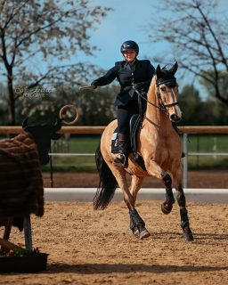 Neue Leidenschaft Working?  Die Beziehung zwischen Pferd und Mensch steht bei meiner Arbeit im Vordergrund. Wie das mit Turniersport zusammenpasst? Schwierige Geschichte.
Doch bei der Working Equitation steht genau diese Verbindung im Vordergrund, denn viele der Aufgaben sind Vertrauensbeweise und zeigen ziemlich klar auf, ob die Basis stimmt.
Ich bin ehrlich begeistert. Man merkt auch den Pferden den Spaß total an 🥰
Jetzt freue ich mich noch viel mehr auf die Pferd International, bei der ich auch am Working Platz mit dabei sein werde 📷🔥  Denn besondere Tiere verdienen besondere Erinnerungen ❤️
~ Sara Landvogt Fotografie 📷
👉 Weitere Infos: Link in Bio  #workingequitation #pferdesport #equestrian #equinephotography