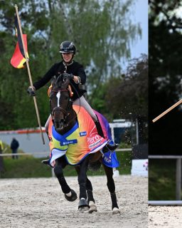 Master Class ✨  Ein langes Wochenende voller Eindrücke und Arbeit liegt hinter mir. Donnerstag ging es für mich in die Show, hier habe ich immerhin die meisten Acts gesehen und fotografiert und ab Freitag stand alles im Zeichen der Working Equitation. Stiltrail, Speedtrail, Masters of Speed (was für eine Stimmung 🔥🔥) und zum Schluss noch die Rinderarbeit.
Für mich gab's sehr viele erste Male und es war so genial, so viele tolle Reiter auf internationalem Spitzenniveau sehen zu können.
Ich habe definitiv Lust auf mehr 🥰  Liebe geht raus an Team Butze @stoib.photography @sinafilm.art @jan.s_pictures ✨
Fotos und Videos gibt's im gemeinsamen Shop zu erwerben  Denn besondere Tiere verdienen besondere Erinnerungen ❤️
~ Sara Landvogt Fotografie 📷
👉 Weitere Infos: Link in Bio  #pferdefotografie #workingequitation #pferdinternational #masterclass