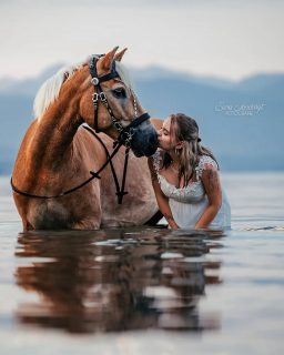 Wassermagie ✨🫧  Im Sommer für mich jedes Mal das Highlight: Fotoshootings am oder im Wasser 🌊
Die perfekte Kulisse an heißen Tagen, erfrischend und einfach besonders.
Auch dieses Jahr habe ich wieder eine spezielle Aktion für Wassershootings, allerdings limitiert auf zwei Plätze. Für deine Erinnerungen mit Wasser- Location gibt es meine beiden #Lieblingfotos für dich gratis zu deiner Bildauswahl geschenkt ✨  Kommentier gern "Wassermagie", wenn ich mich mit weiteren Informationen bei dir melden soll 🥰  Denn besondere Tiere verdienen besondere Erinnerungen ❤️
~ Sara Landvogt Fotografie 📷
👉 Weitere Infos: Link in Bio  #pferdefotografie #pferdemädchen #horsegirl #haflinger