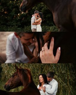 She said yes 💍✨  Selten habe ich mich so über eine Nachricht /Shootinganfrage gefreut, wie über die der lieben Natalie, als sie mir ein Bild ihres Verlobungsrings geschickt hat 🥰 natürlich muss bei einem echten #pferdemädchen auch das Pony mit auf die Fotos.
Liebe ich doch sehr. Danke ihr zwei, für euer Vertrauen und die tollen Ideen.
Wer bis ganz zum Ende scrollt, sieht auch noch, wie wir das Thema Flutlicht interpretiert haben ☔  Denn besondere Tiere verdienen besondere Erinnerungen ❤️
~ Sara Landvogt Fotografie 📷
👉 Weitere Infos: Link in Bio  #engagement #pferdefotografie #memories  100% echte Fotos. Kein Ki Slop, nur Handwerk und Erinnerungen 🫶