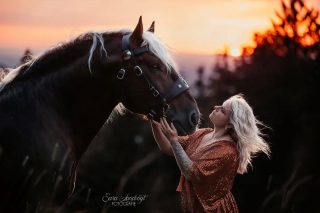 Dein liebster Sommermoment? 🌅  Du kannst jetzt auch Fotos als Kommentar verlinken. Schon ausprobiert? Wenn nicht, schick mir doch deinen bisher schönsten Sommermoment als Foto in die Kommentare. Gerne was mit Wasser, Abkühlung können wir glaube ich alle brauchen 😄  Da ich die Hitze gar nicht vertrage war fototechnisch dieser Sonnenuntergang bisher mein liebster Moment. Da war es sogar ein bisschen kühl 😄  @julia_kaltblutleben mit Deckhengst Samu 🫶  Denn besondere Tiere verdienen besondere Erinnerungen ❤️
~ Sara Landvogt Fotografie 📷
👉 Weitere Infos: Link in Bio  #pferdefotografie #pferdemädchen #kaltblutLiebe #drafthorse