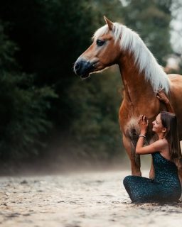 Wenn früh aufstehen sich so richtig lohnt 🥰  👉 Swipe, um die ganze Serie zu sehen  Für diese Fotos sind die beiden schon gegen 4 Uhr morgens los gefahren. Und dieser neblige Sonnenaufgang war es wert 🥹
Darauf freue ich mich im Herbst besonders, und am allerbesten: man muss nicht mehr ganz so früh dafür raus.
Für September und Oktober sind noch vereinzelte Herbsttermine frei 🫶  Welches der Bilder ist dein Favorit? 🥰  Denn besondere Tiere verdienen besondere Erinnerungen ❤️
~ Sara Landvogt Fotografie 📷
👉 Weitere Infos: Link in Bio  #pferdefotografie #pferdemädchen #haflinger