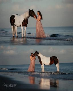 Special Memories können nicht warten 🌊  Ich liebe es, wie viele Gedanken ihr euch vor einem Fotoshooting macht, um es besonders zu machen.
Doch bevor wir über euer Outfit oder mögliche Locations sprechen, ist mir immer wichtig, zu lernen, was EUCH ausmacht. Seid ihr zu 90% im Gelände, in eurem Lieblingswald? Liebt ihr gemeinsame Bodenarbeit? Was verbindet euch, was habt ihr gemeinsam erlebt? Darüber sprechen wir ganz entspannt vor dem Fotoshooting, im Vorgespräch. Damit entsteht in meinem Kopf gleich ein Bild von euch und ich suche dann vor Ort eine Location, die eurem Vibe entspricht 😊
Und ganz wichtig: Schiebt das Fotoshooting nicht auf die lange Bank. Wenn du es "irgendwann mal" tun möchtest, plan es doch gleich ein. Man weiß nie, wie das Leben so spielt.  Kaja und ihre Pyna haben schon so viel erlebt und ein Höhepunkt waren die gemeinsamen Ausflüge an den Strand in Zeeland. Also hat es sich dann ergeben, dass unser zweites gemeinsames Shooting genau dort stattfand ❤️ eine ganz besondere Ehre für mich.  Denn besondere Tiere verdienen besondere Erinnerungen ❤️
~ Sara Landvogt Fotografie 📷
👉 Weitere Infos: Link in Bio  #pferdemädchen #pferdefotografie #fotoshooting #strandritt